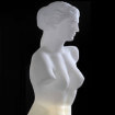 Venus Slide 160 busto